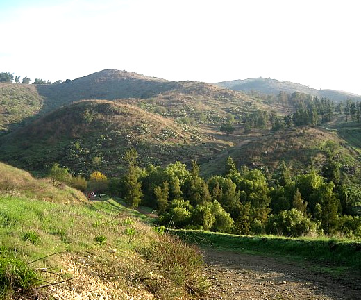 Bonelli Park trail view